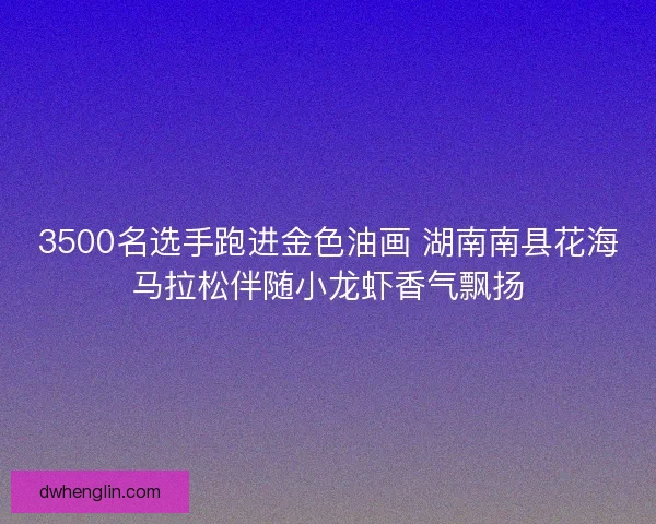 3500名选手跑进金色油画 湖南南县花海马拉松伴随小龙虾香气飘扬